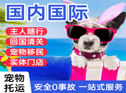 湛江航空空运国际宠物托运 【国